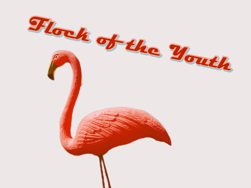 Flock of the Youth