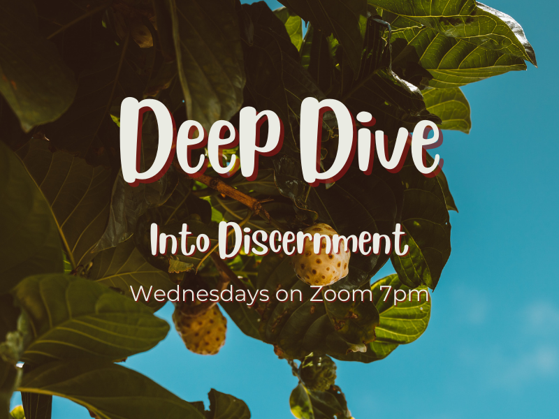 Deep Dive into Discernment