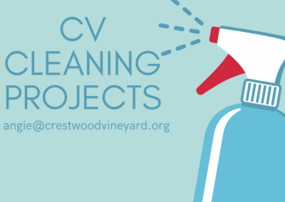 CV Cleaning Projects