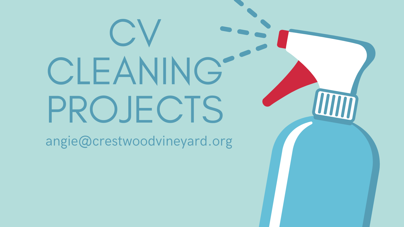 cv cleaning projects